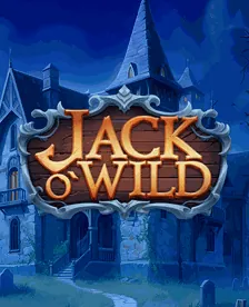 Jack O'Wild
