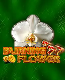 Burning Flower